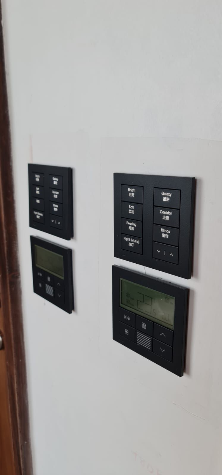 Lutron HomeWorks Palladiom Keypad Pre Engraving Polymer Meerkat Home