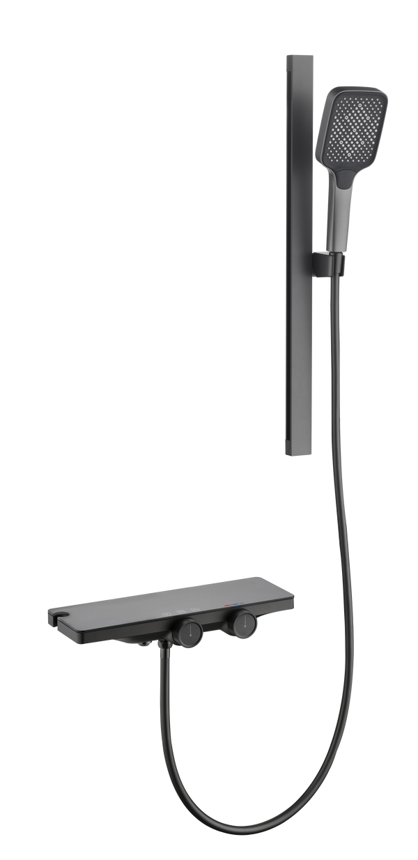 Square Hand Shower in Gun Ash finish (2349G)