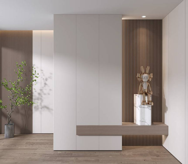 Modern Entryway/Hallway Closed Shelve Shoe Cabinet