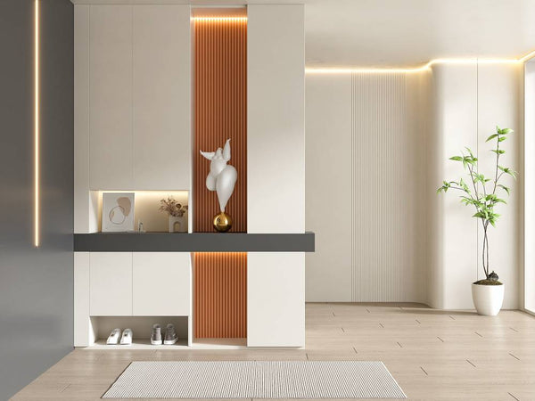 Elevate Home Aesthetic with Shoe Cabinet/Storage in Living Room