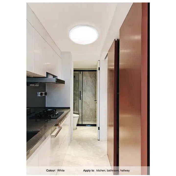Modern Tri-Colour Round LED Ceiling Lamp/Lights