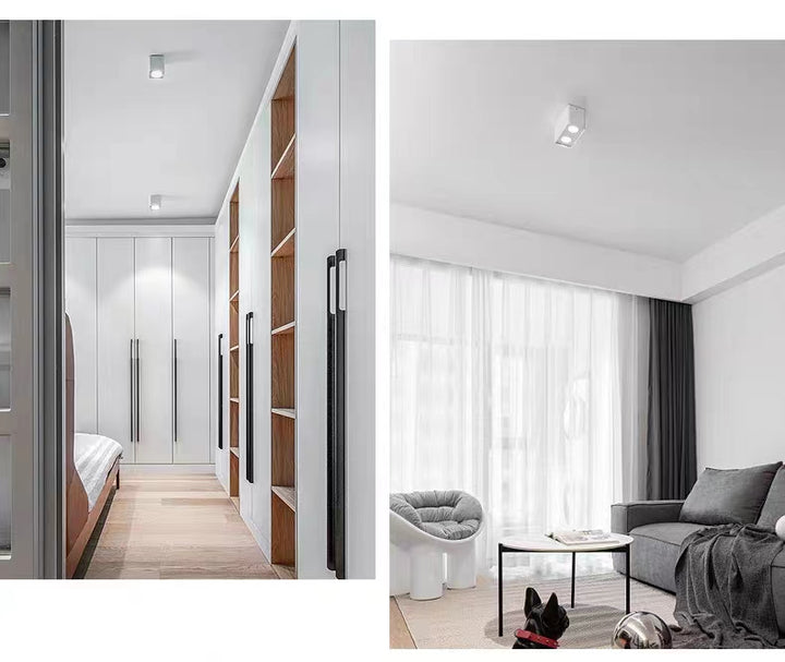 Surface Mounted Rotatable Spotlight (Single/Double Head)