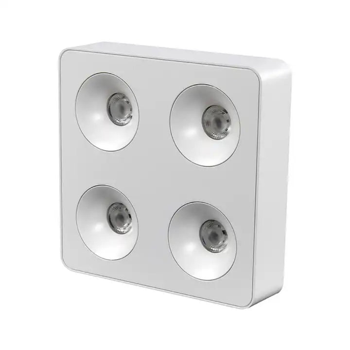 Square Four Head Ceiling Spotlight (White)