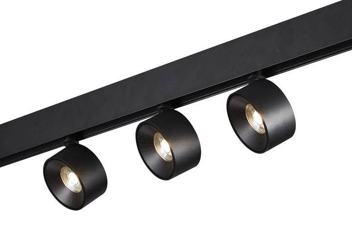 Round Spotlight